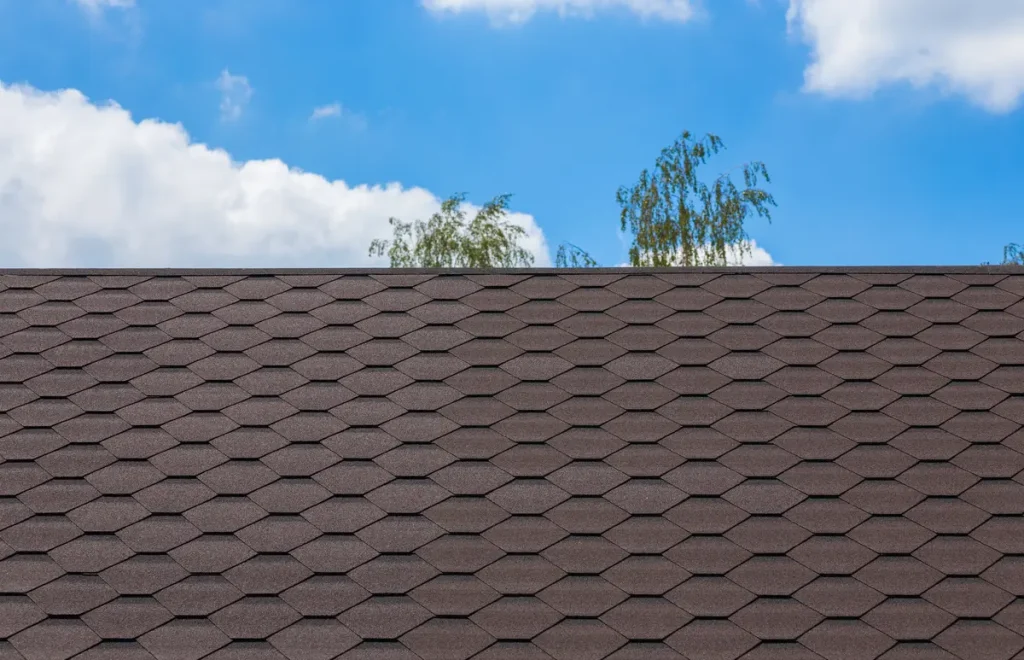 composite shingles and sky