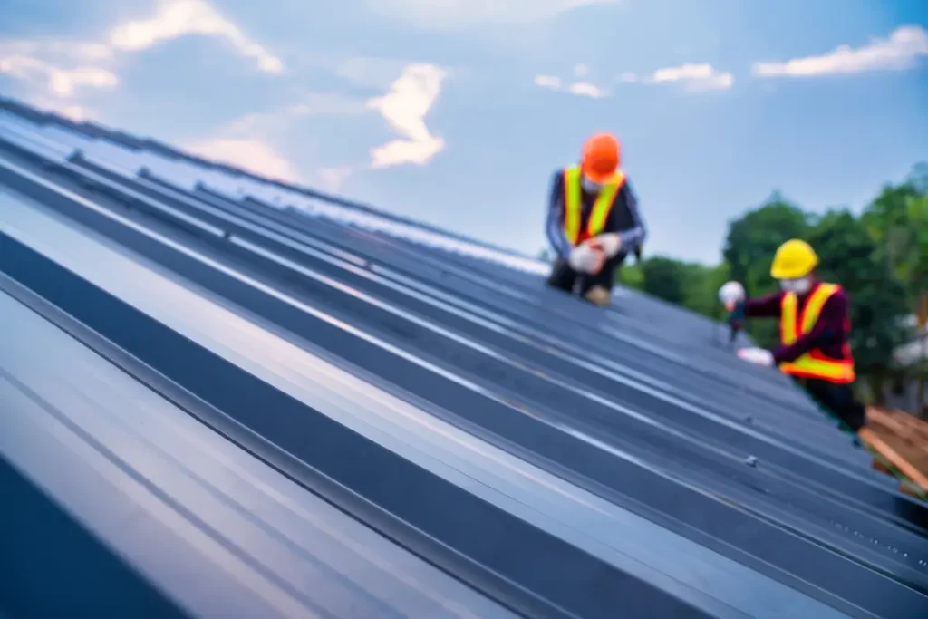 metal roof and two roofers