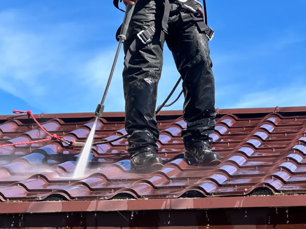 metal roof cleaning