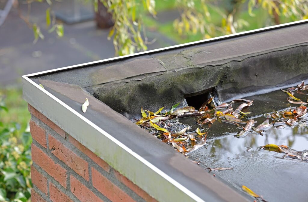 flat roof drain buildup of water and debris
